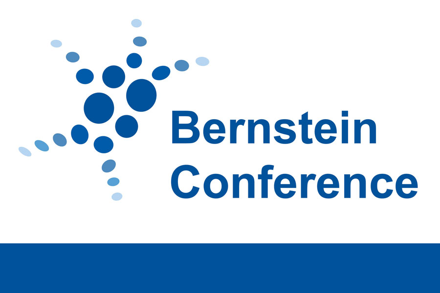 Logo Bernstein Conference