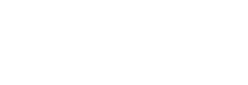 Bernstein Netzwerk Computational Neuroscience Logo