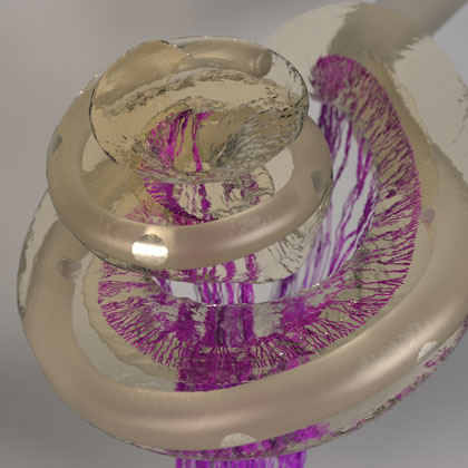 3-D-Abbildung des menschlichen Innenohrs mit einer Cochlea-Implantatelektrode/ 3D image of the human inner ear with an inserted cochlear implant electrode