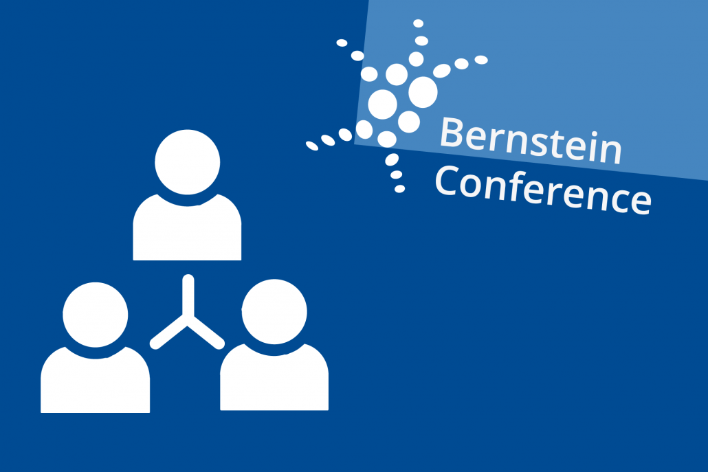 Home Bernstein Network Computational Neuroscience