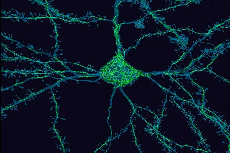 251216 Schreiber 900x600