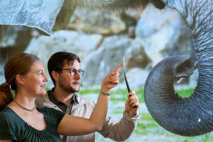 260212 Brecht 900x600