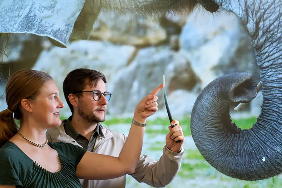 260212 Brecht 900x600